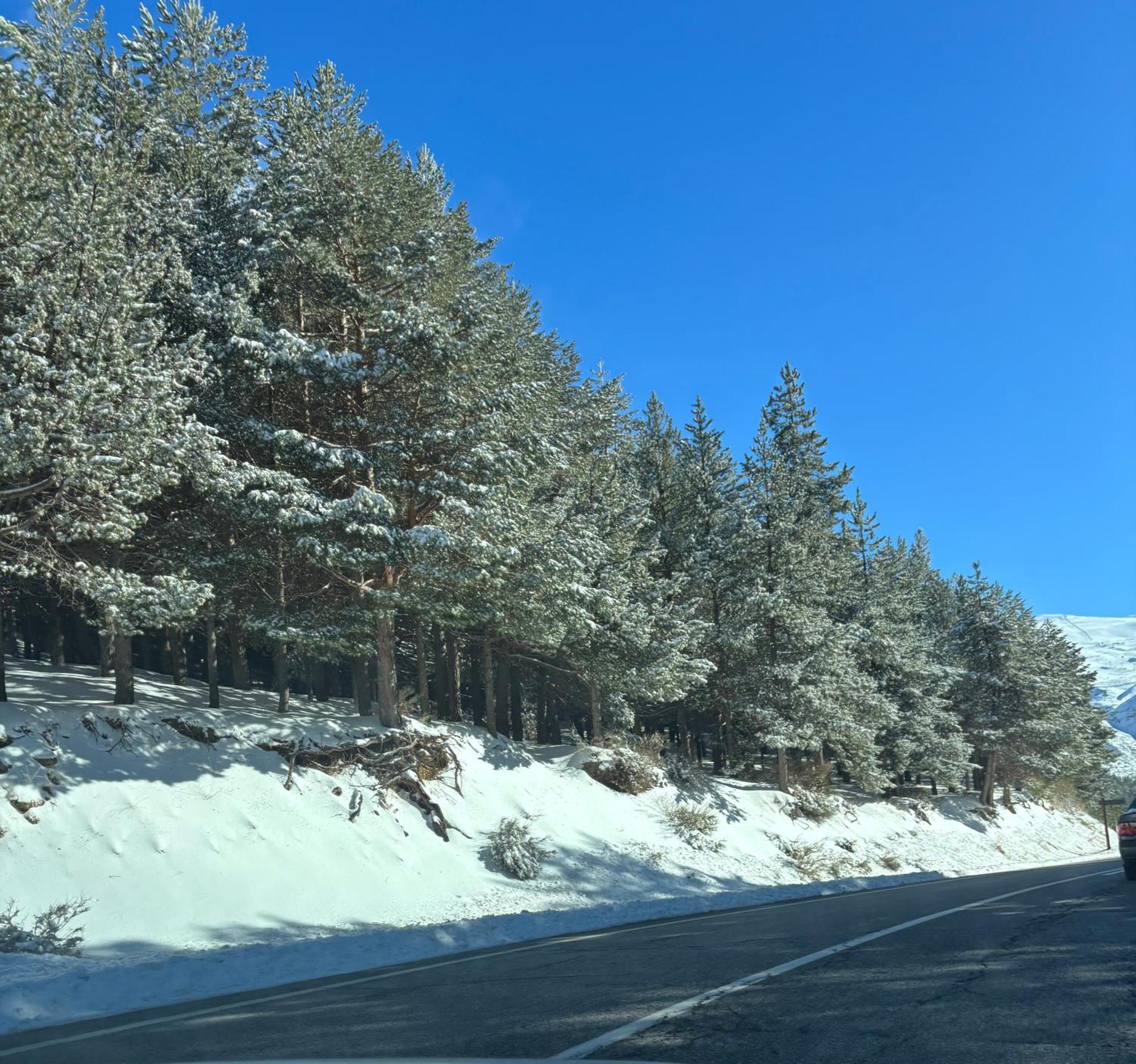 格拉纳达Biznaga Nevada公寓 外观 照片